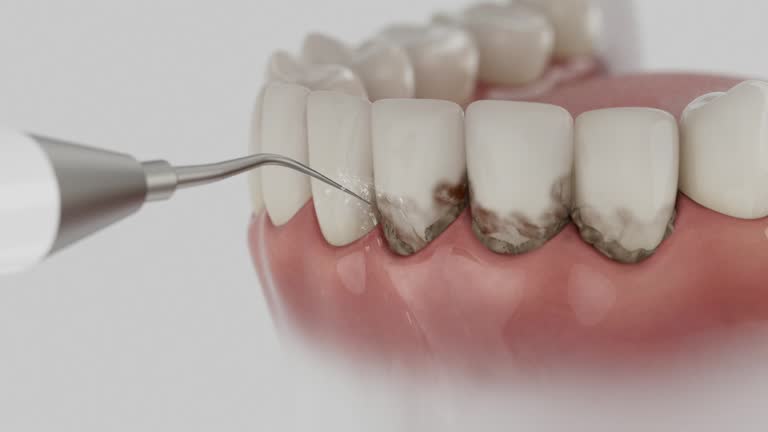 Reliable Dental contractor in Memphis, FL by Dentist Open Now